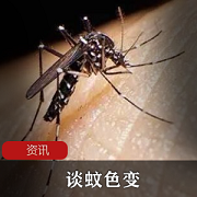 近日天气会升，那么广东将会如何？为何个个都谈蚊色变？