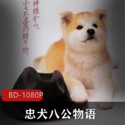 经典感人电影《忠犬八公物语》感人故事